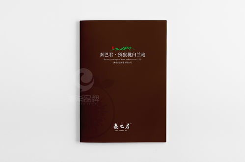 以创意升华酒香——一希品牌设计赋能白酒产品画册与宣传册设计及品牌策划